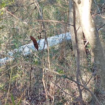 見おろす【山の目】
ただの板にしか見えません💦