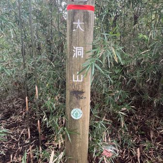 おおぼらやま⛰️