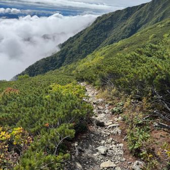 これ以降超急激な下りになります。石も滑りやすく斜度がキツいので砂利で踏ん張りがききません。。。