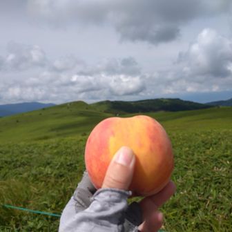 蝶々深山でおやつ。
今日はワッサー🍑
今が旬🍑✨美味しかった〜
