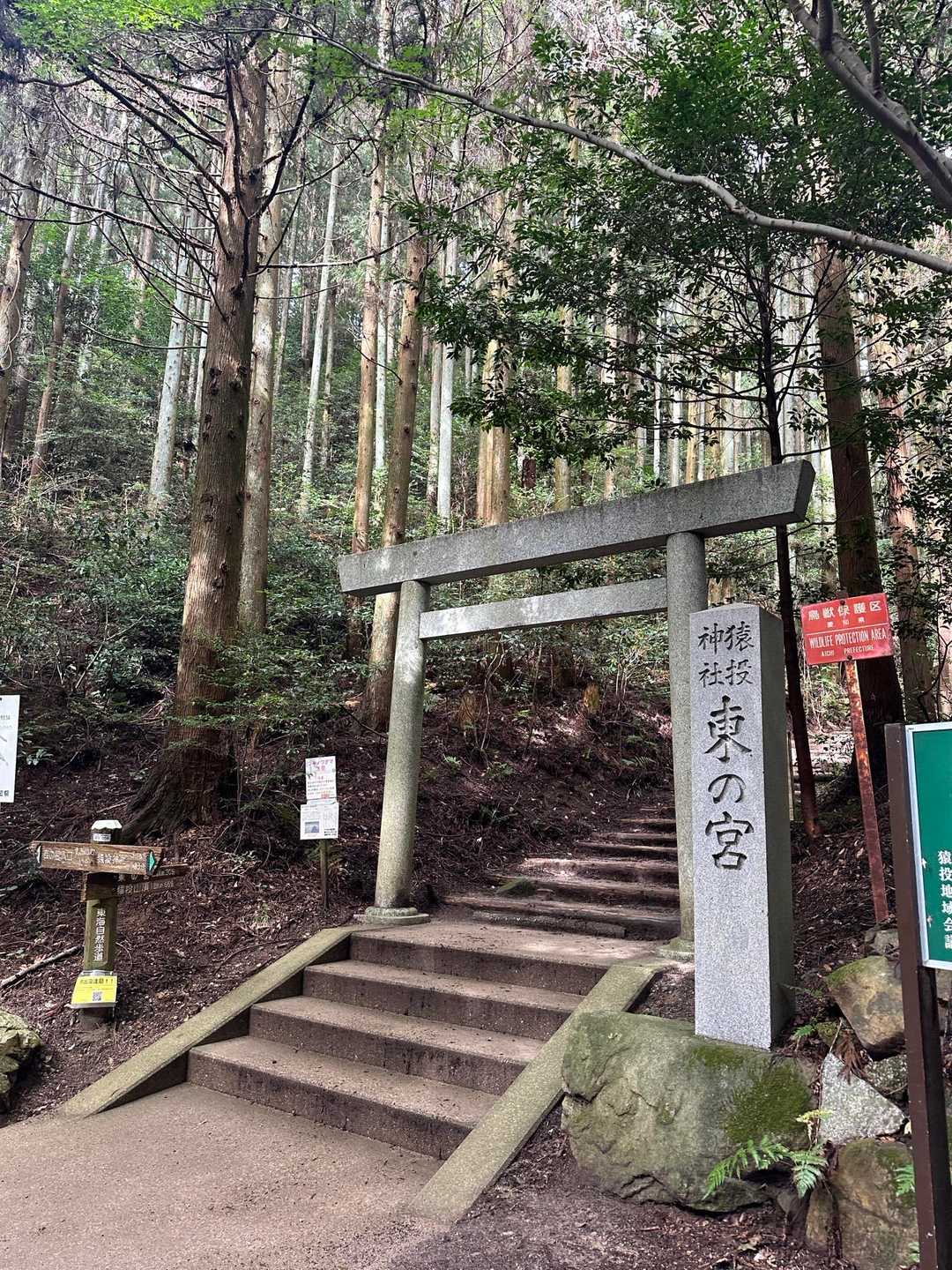 下山はあっという間
