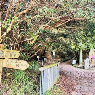 無事下山しました
ここから登る時はいつもお地蔵様にご挨拶してるねんけど登る時忘れててん！ごめんなさい🙇‍♀️
下山時ご挨拶したらお地蔵様のお顔が寂しい様な少し怒ってる様なお顔をしてました🥺
今日もケガなく帰ってこれました🙏
