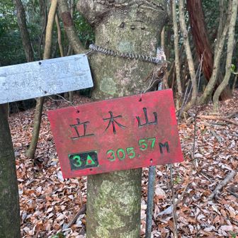 立木山登頂⛰️