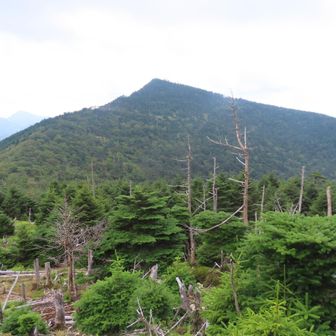 八経ヶ岳