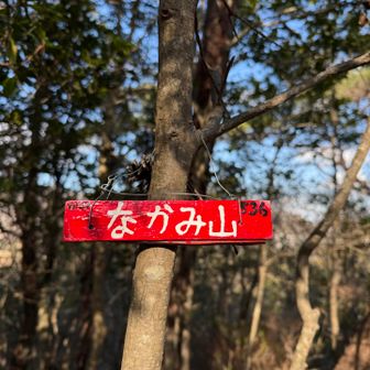 初めて立ち寄ったなかみ山山頂