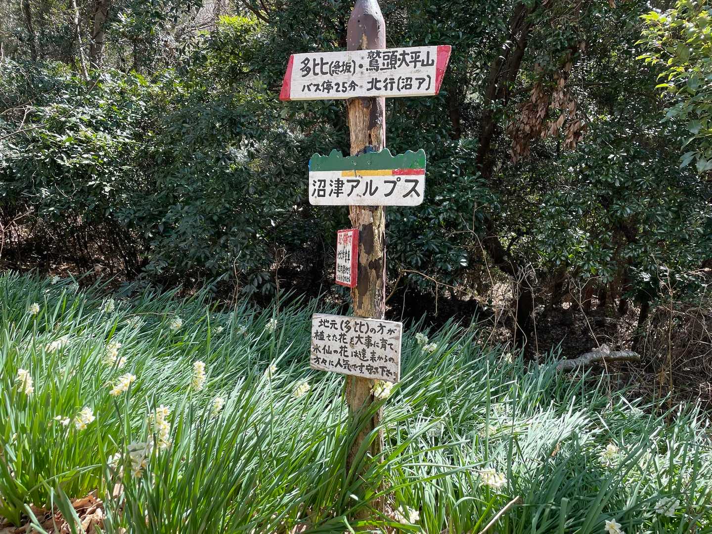 多比バス停-多比口峠-大平山-大嵐山-茶臼山-原木駅 縦走コースの写真
