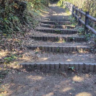 最後の階段。