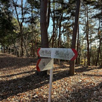 権現山行く？扇山行く？
先にキツイ権現山にします😅