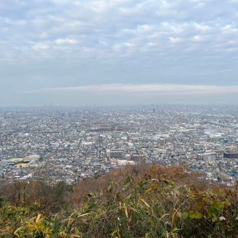 枚岡テンボーダイから