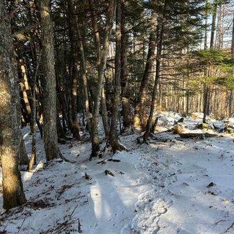 雪道ですが、ツボ足でもなんとか歩けます🥾