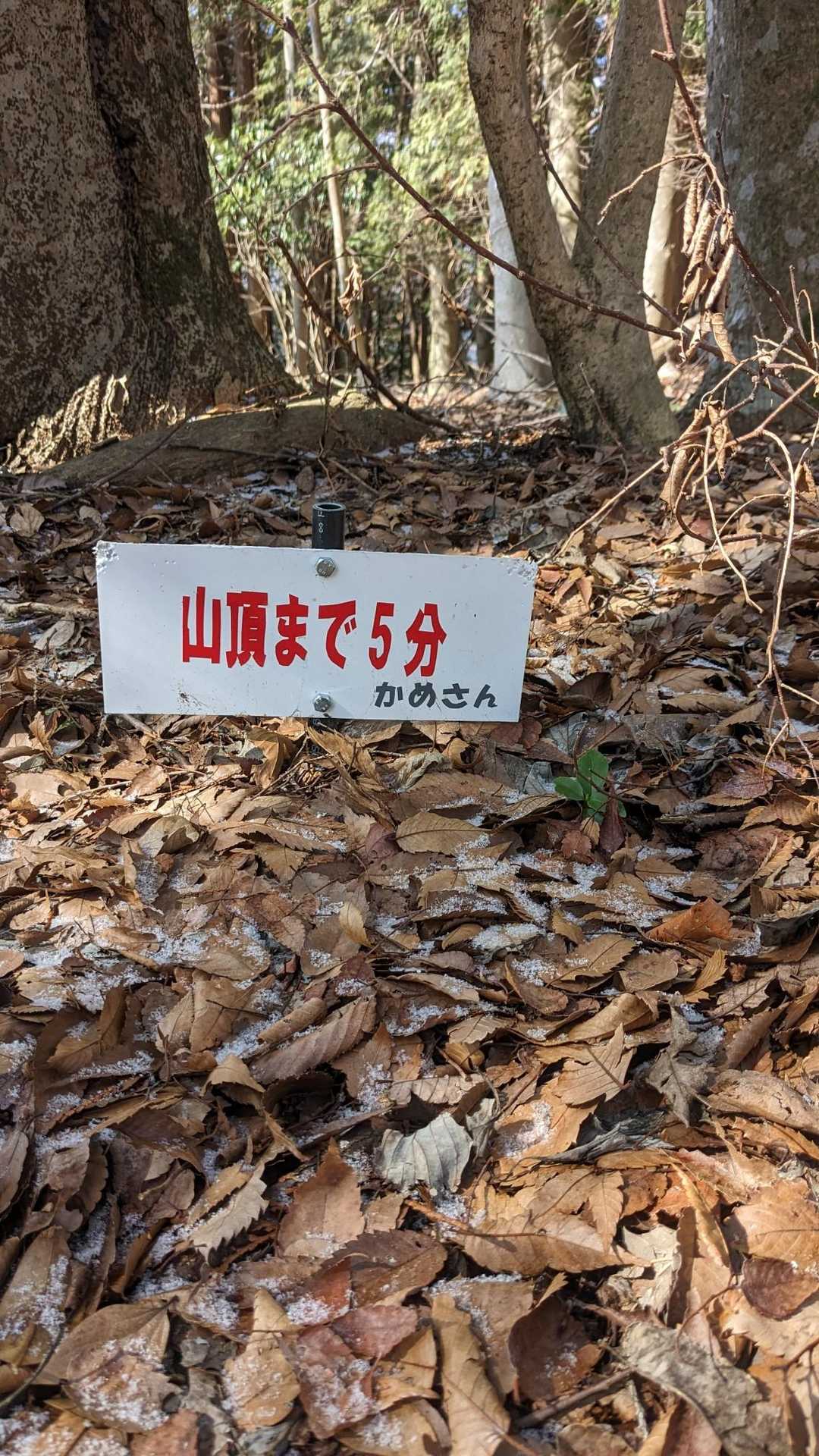 かめさん、ありがとうm(_ _)m