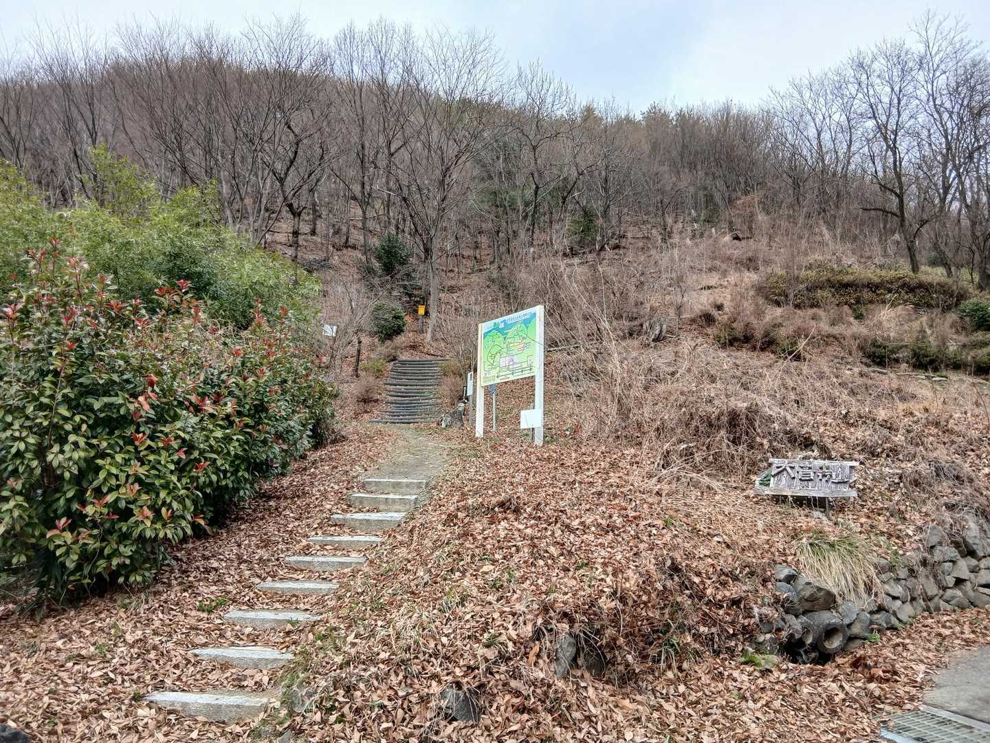 ここからスタート
先ずは大音寺山へ