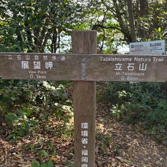 もちろん展望岬へ