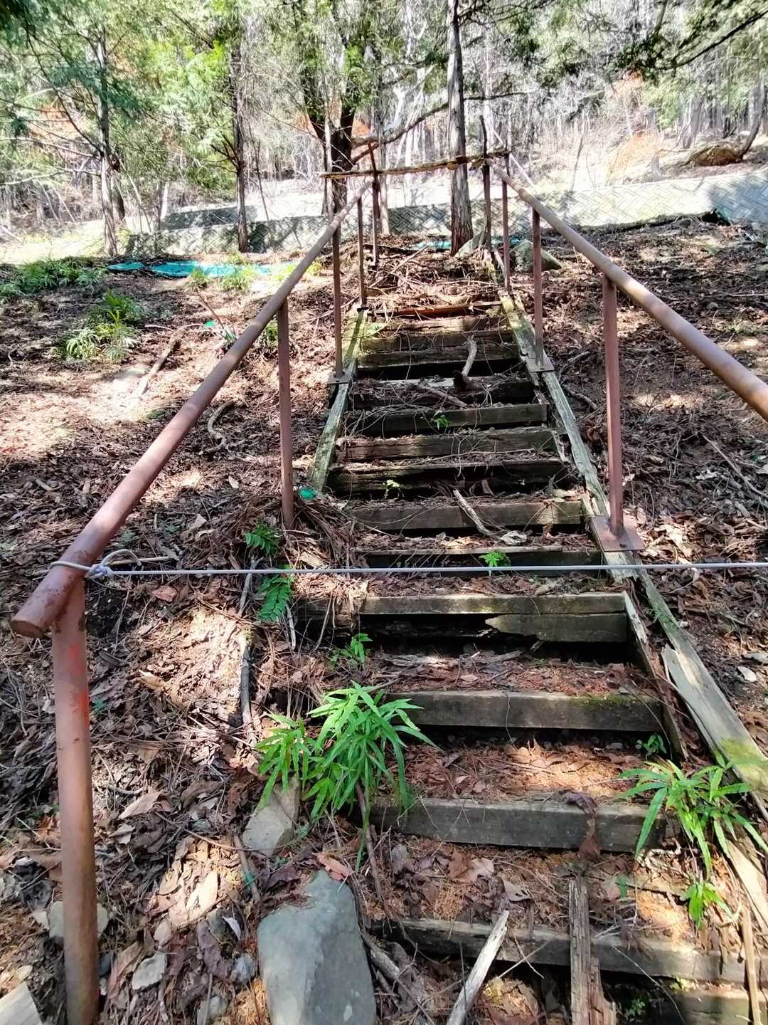 危険な階段、ついに通行止め！