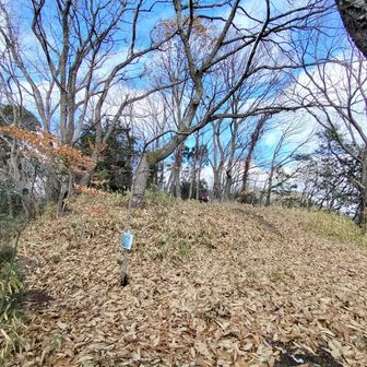 八尾城跡　主郭