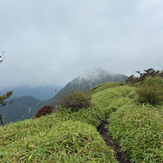 蛭ヶ岳が見えてきた😍