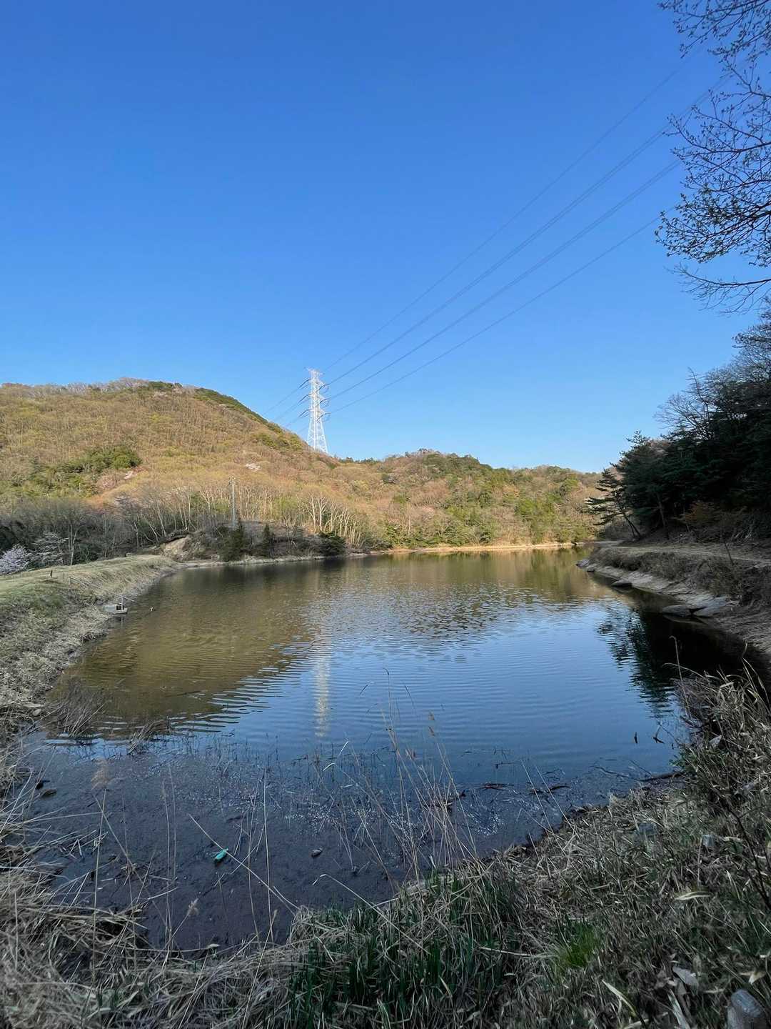 怒塚山-金甲山 周回コースの写真