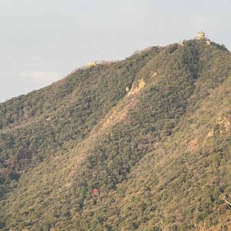 西山からの金華山もいい