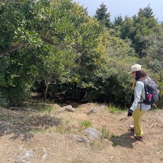 山桜を目指し現川方面へ