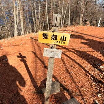 「ハゲガラ」と間違えてた「キビガラ」山。