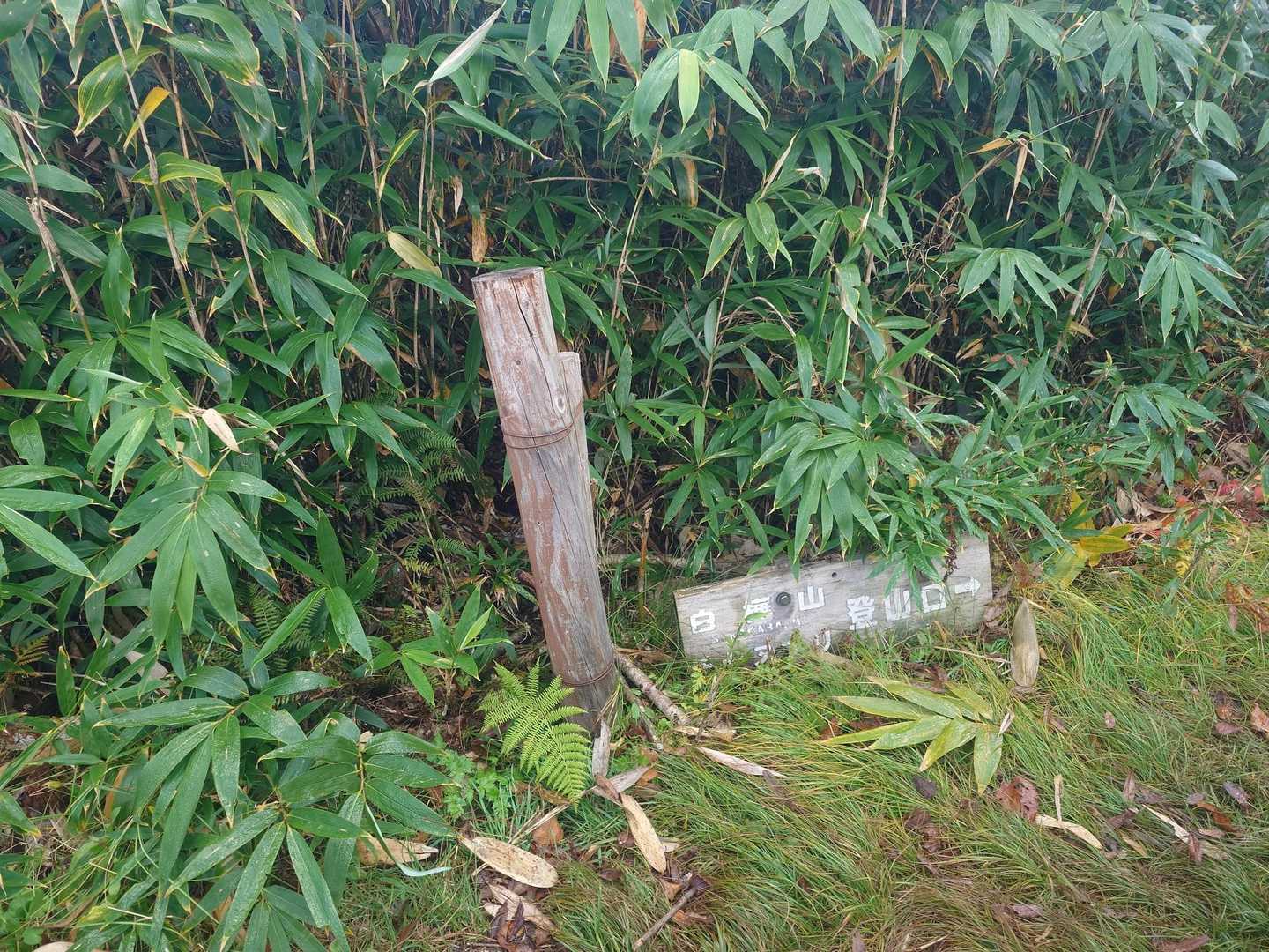 登山口
