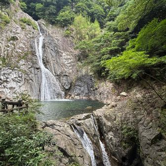 今日は人少ない