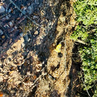 えらい頑張った👏