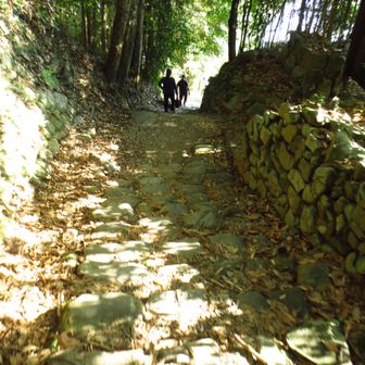 段差が大きく険しい