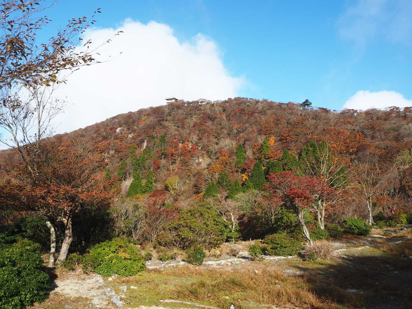 しばらくすると綺麗な紅葉が見えてきた😍