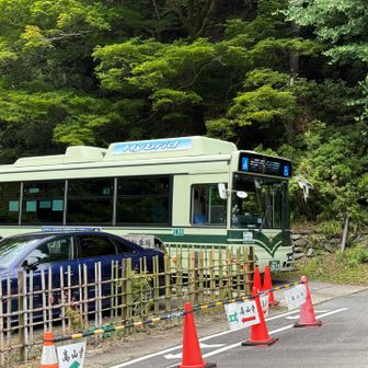 今回のスタート地点、栂ノ尾バス停。