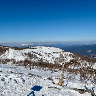 伊吹山がはっきり見えています