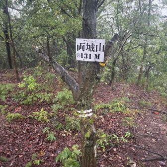 せっかく階段登り切ったから小雨の中、両城山まで行っときました。
