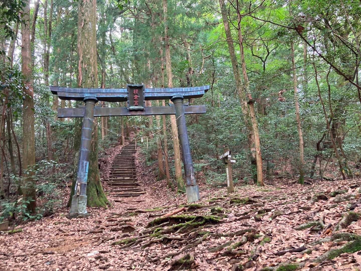 杉原神社-横倉宮 往復コースの写真