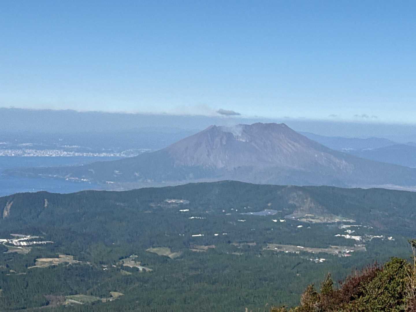 垂桜コース登山口-大箆柄岳 往復コースの写真