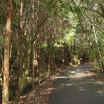 東昌寺Ｐからスタート。