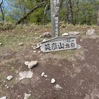 ここでは北岳に来ただけってしないんですか！？