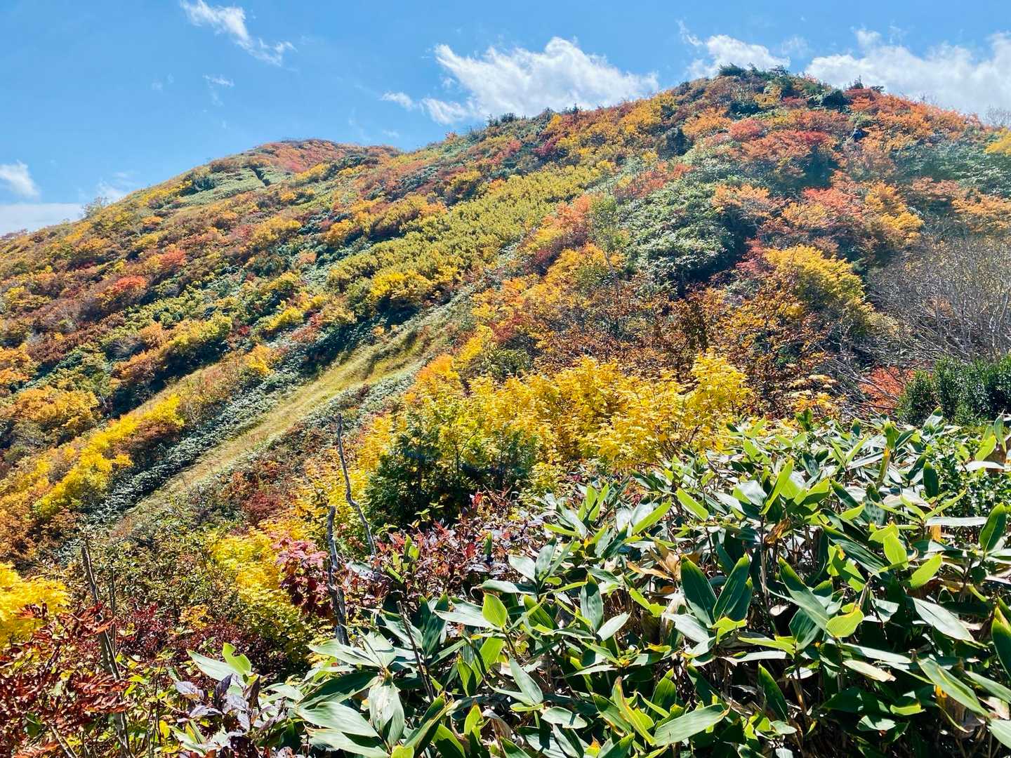 松ノ木沢ノ頭-白毛門-笠ヶ岳 往復コースの写真