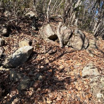 それでもピーク付近は直登り