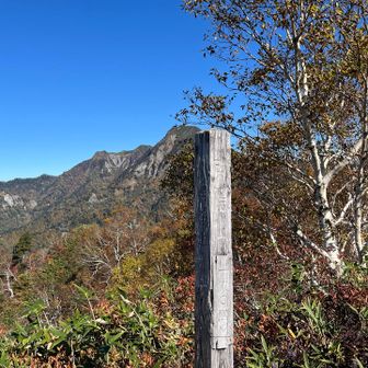戸隠山 山頂