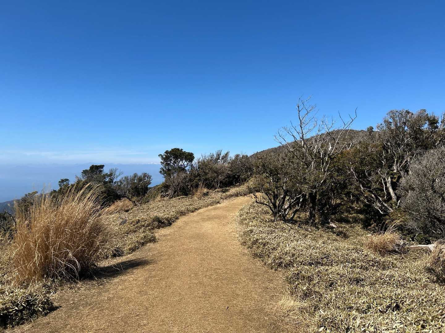 戸田峠-小達磨山-達磨山 往復コースの写真