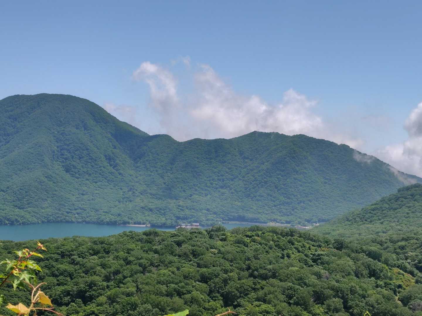 姥子山-鍬柄山-鈴ヶ岳 往復コースの写真