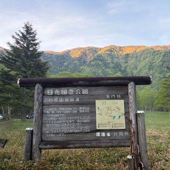 天気が持ちそうで良かった