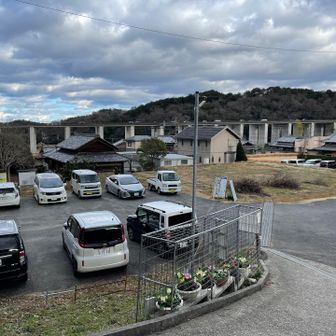 早朝じゃなくてこの時間でも人いっぱい💡ええ気分転換できましたー