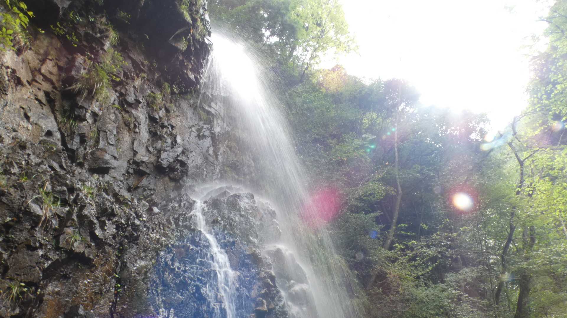 ミストが気持ち良い