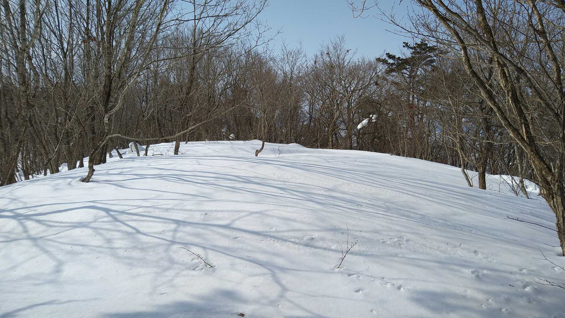 キターーー！！
山頂でーーーーす！！
三角点？
わかりませーーーん！(笑)
