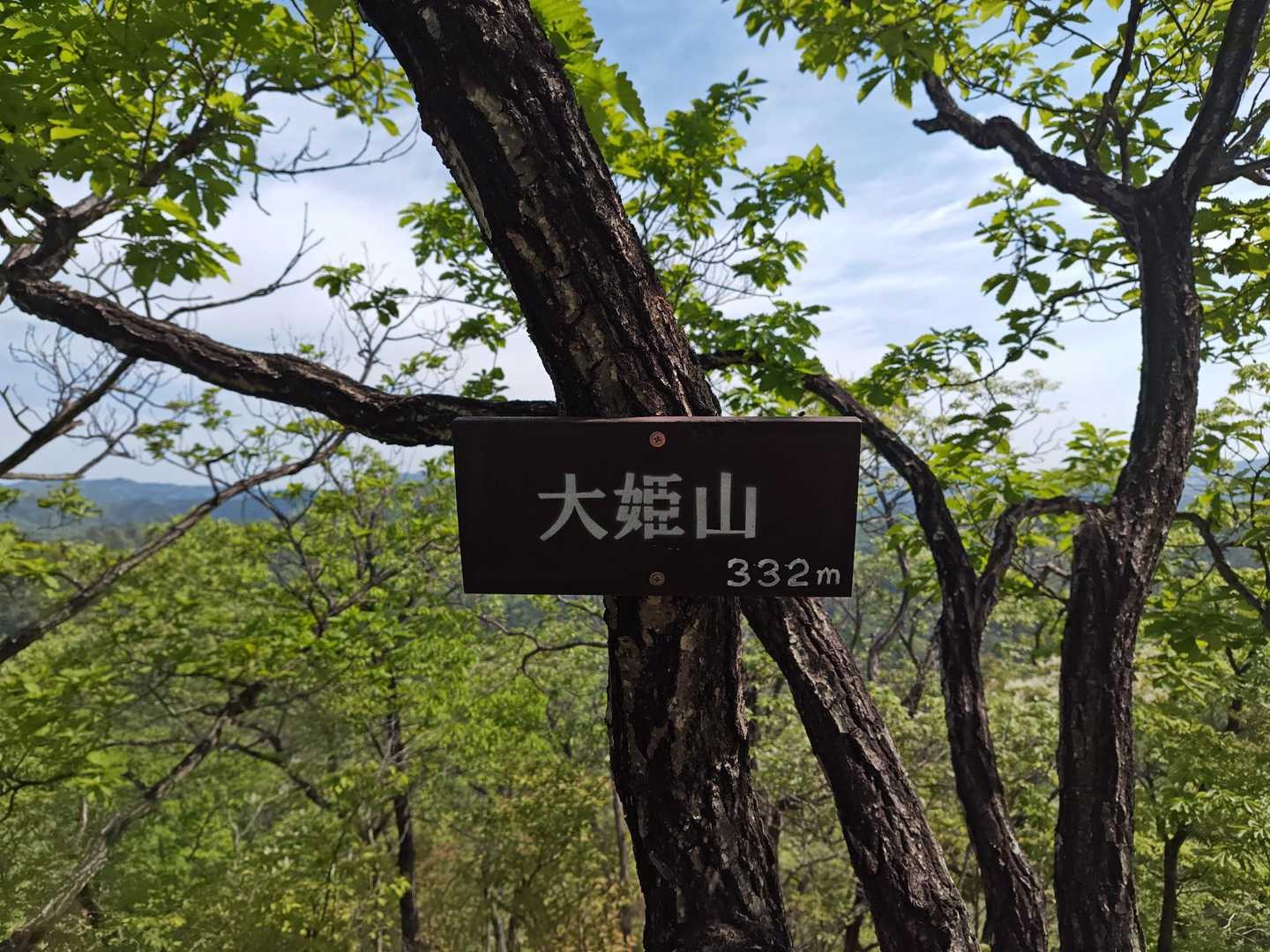 出尾根コース登山口-三床山-天ヶ岳-林山-金原山 周回コースの写真