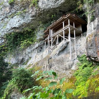 大塚で米屋を継ぐ男(予定)