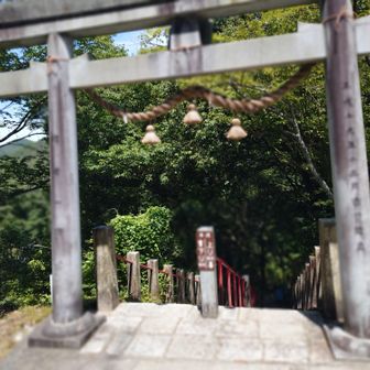 最期は坂ではなく階段で下ります