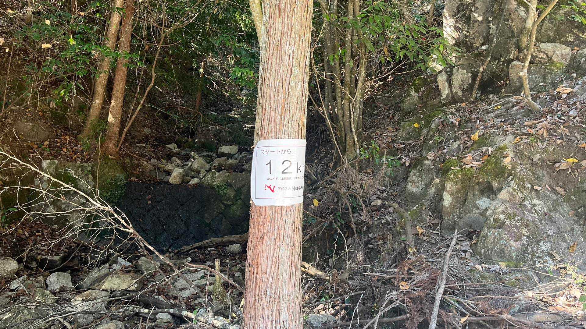 12km