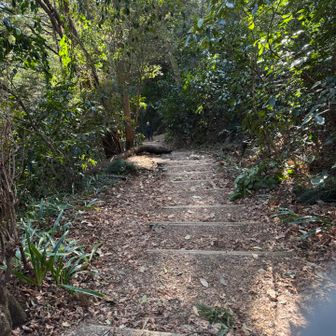 浄心門から２号路へ入り下山
このコースが1番早く下山出来る